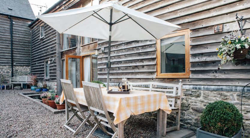 Photo of Long-Eared Owl