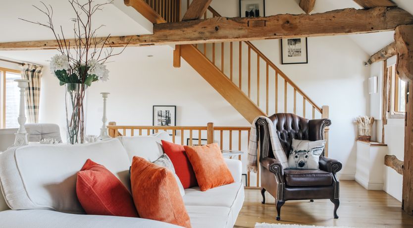 Photo of Long-Eared Owl