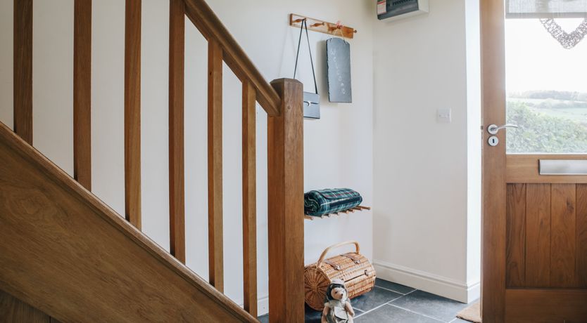 Photo of Long-Eared Owl