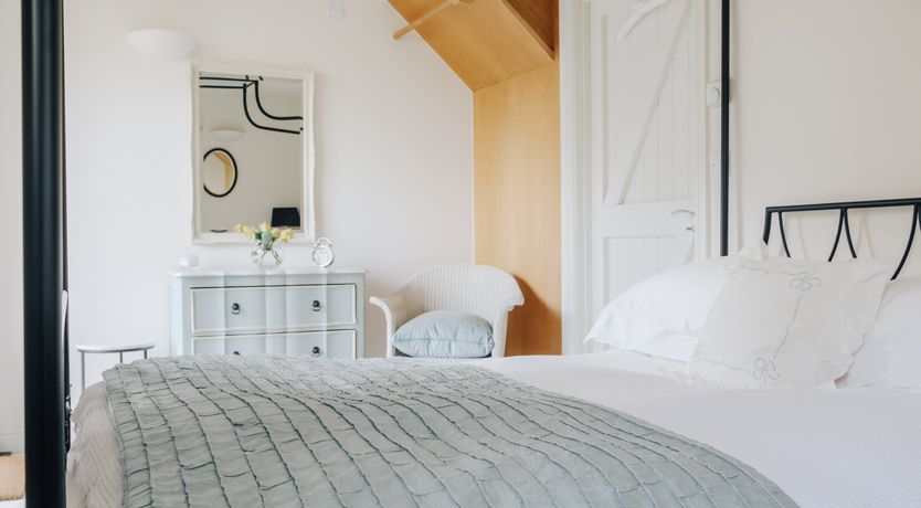 Photo of Long-Eared Owl