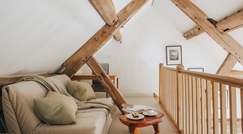 Photo of Long-Eared Owl