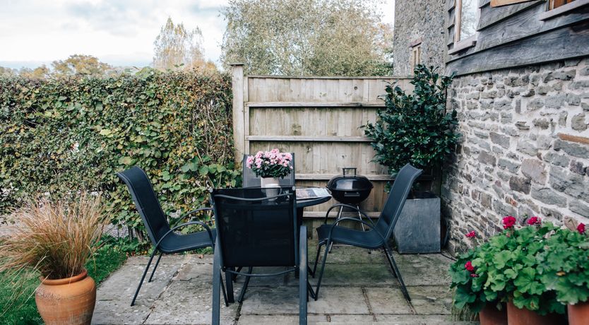 Photo of Long-Eared Owl