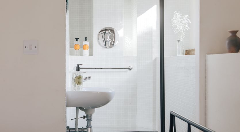 Photo of Long-Eared Owl