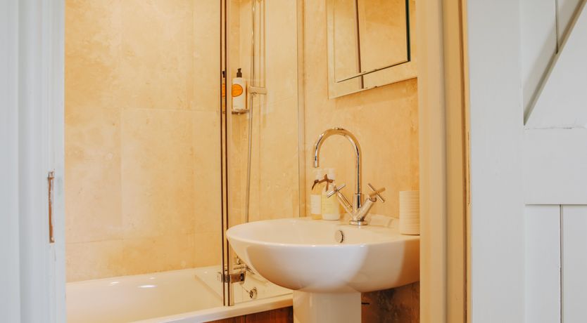 Photo of Long-Eared Owl