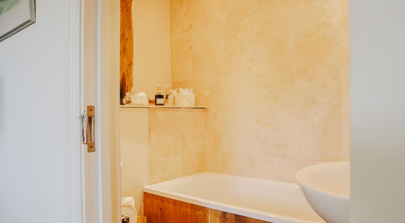 Photo of Long-Eared Owl