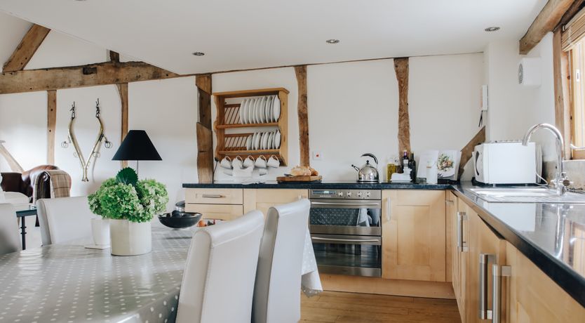 Photo of Long-Eared Owl