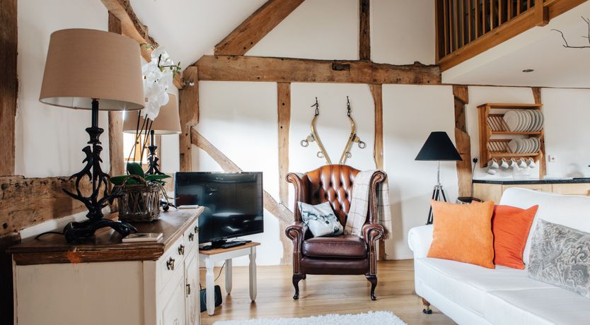 Photo of Long-Eared Owl