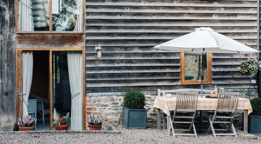 Photo of Long-Eared Owl