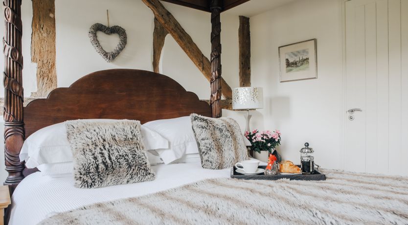 Photo of Long-Eared Owl