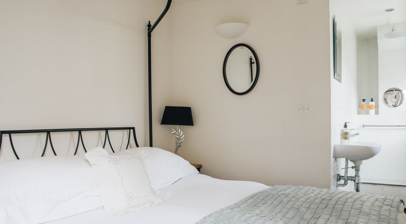 Photo of Long-Eared Owl