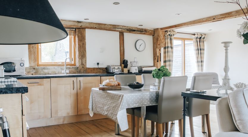 Photo of Long-Eared Owl