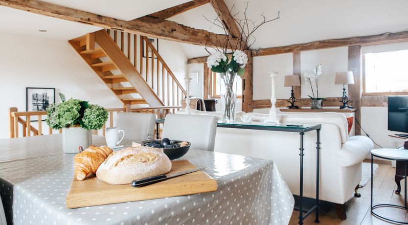 Photo of Long-Eared Owl