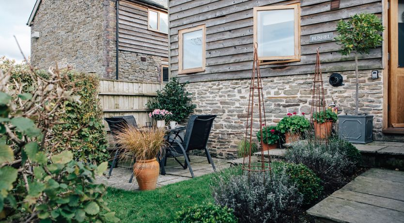 Photo of Long-Eared Owl