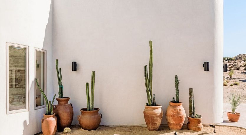 Photo of Mountain Pose