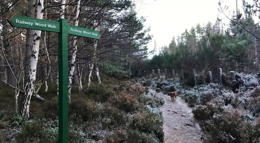 Photo of A Highland Romance