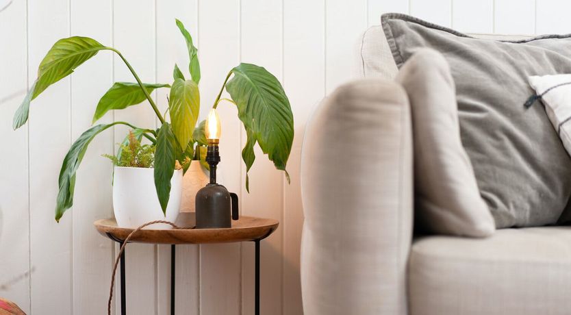 Photo of Cairngorm Charm