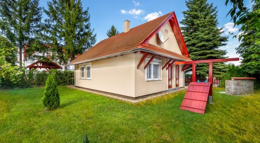 Photo of Silver Pinea