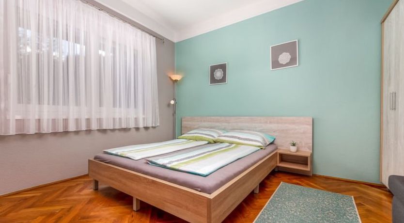 Photo of Silver Pinea