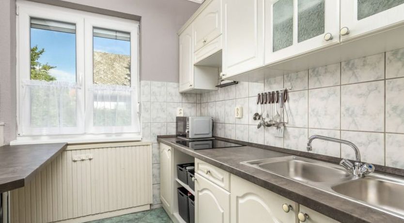 Photo of Silver Pinea