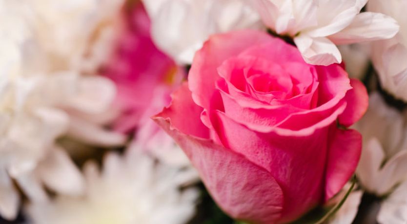 Photo of Birchwood Cottage