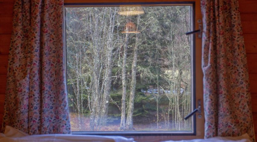 Photo of Birchwood Cottage