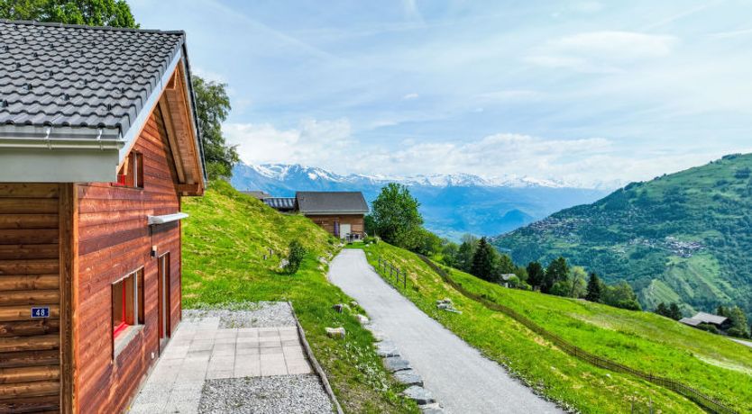 Photo of Les Silènes