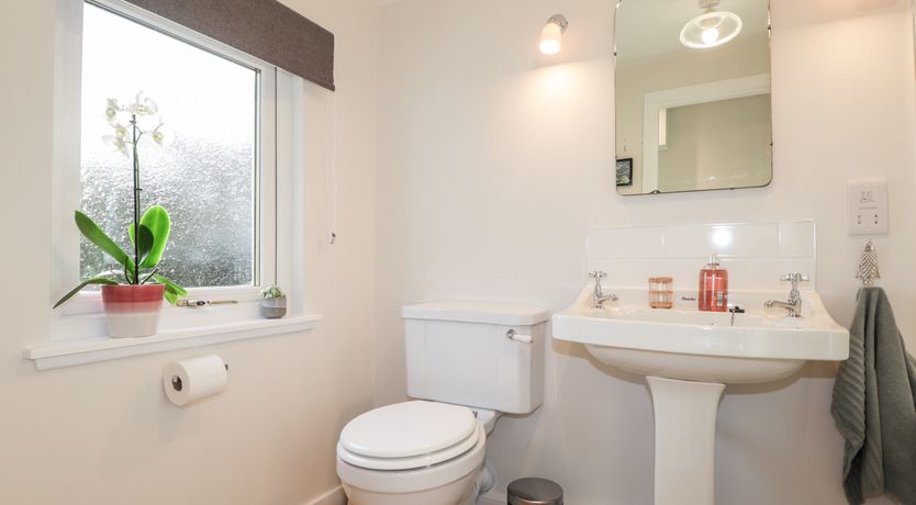 Photo of Lily Collie's