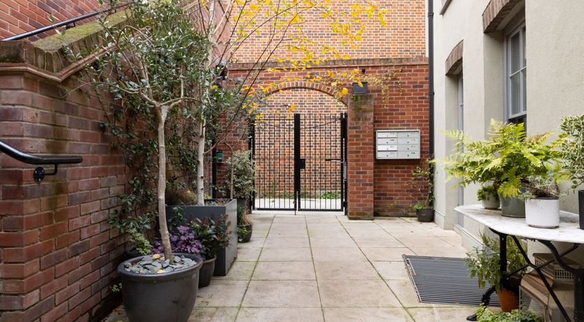 Photo of Green Parakeets