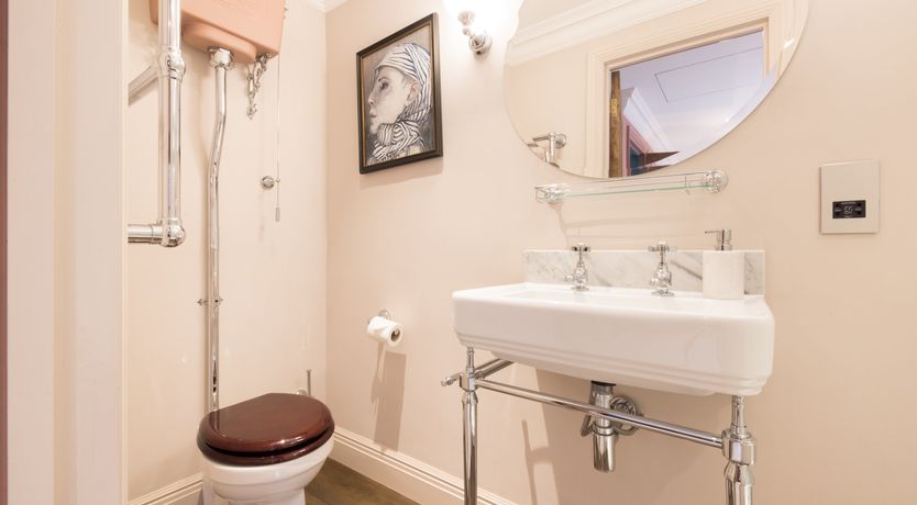 Photo of Green Parakeets