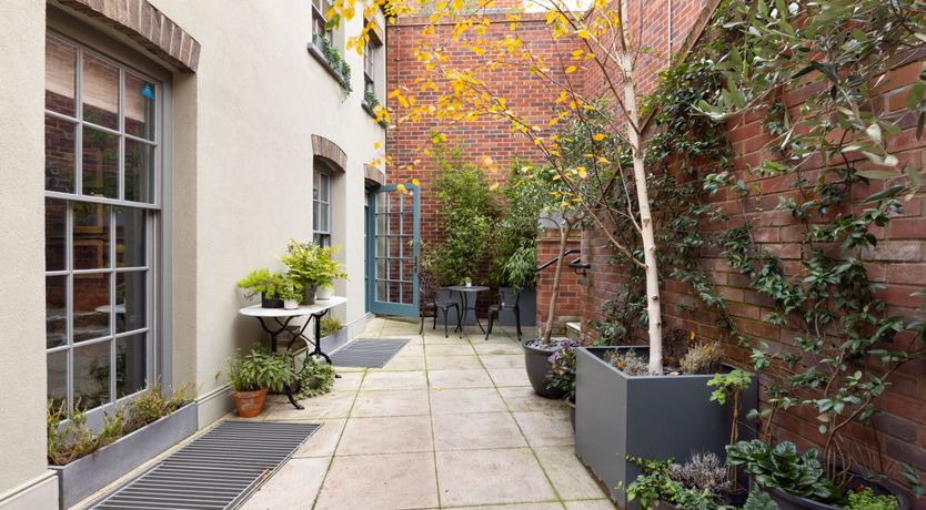 Photo of Green Parakeets