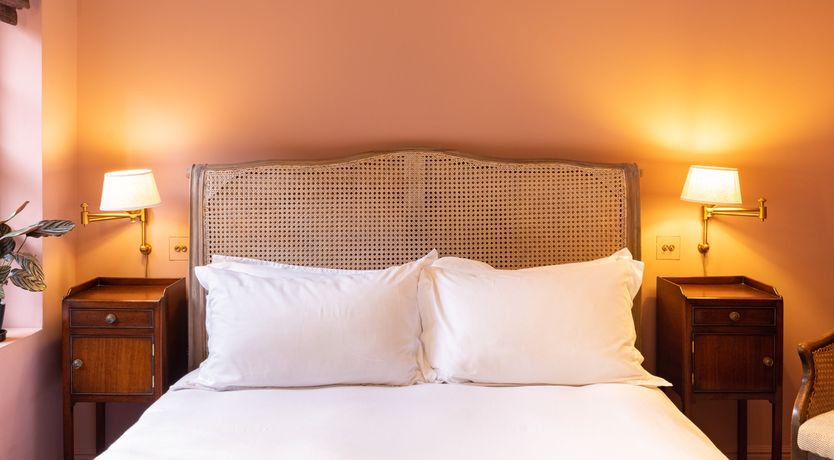 Photo of Green Parakeets