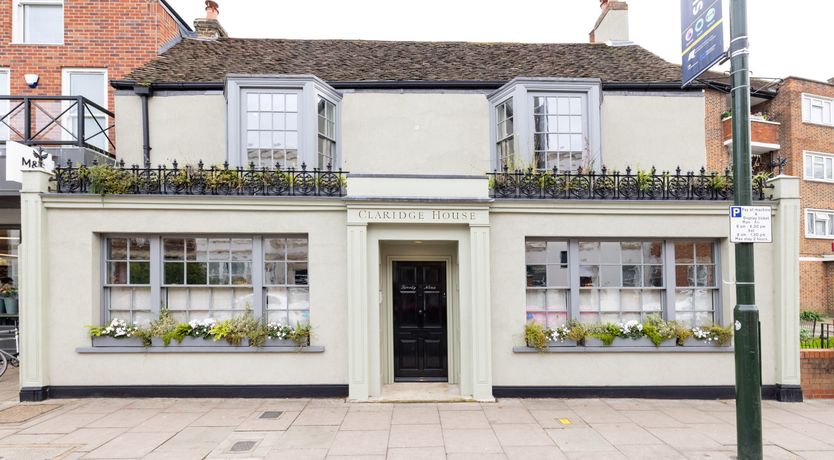 Photo of Green Parakeets
