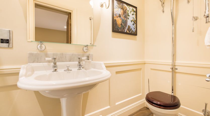 Photo of Green Parakeets