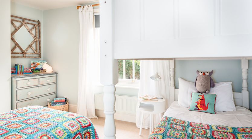 Photo of Into the Forest