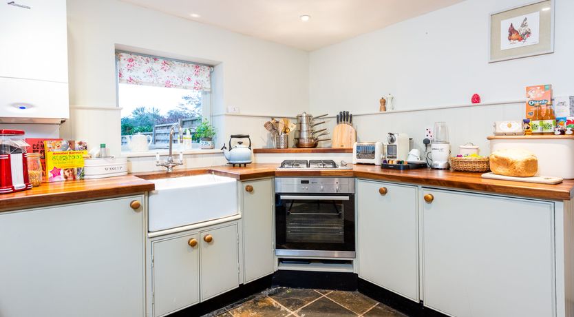 Photo of Into the Forest