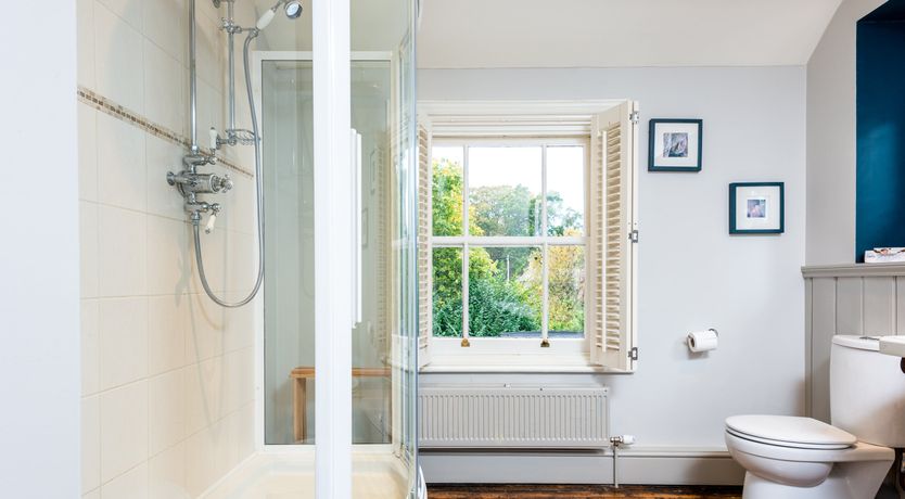 Photo of Into the Forest