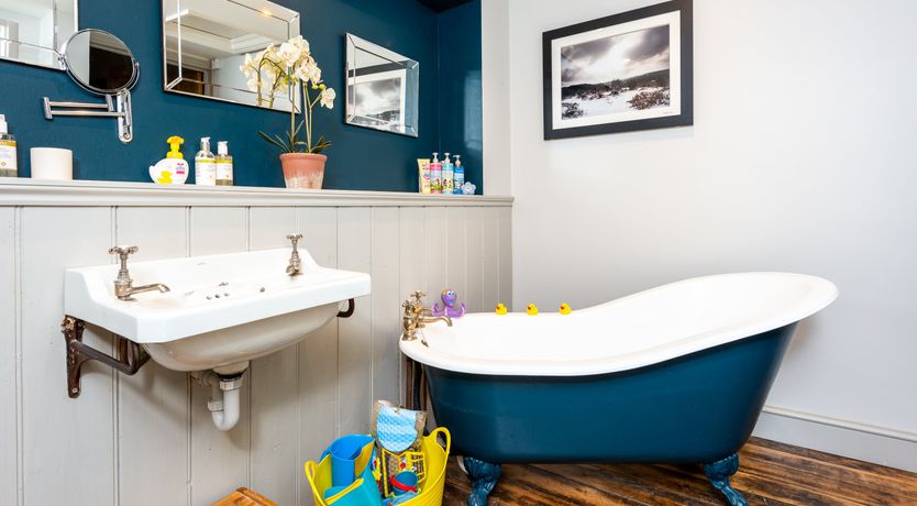 Photo of Into the Forest