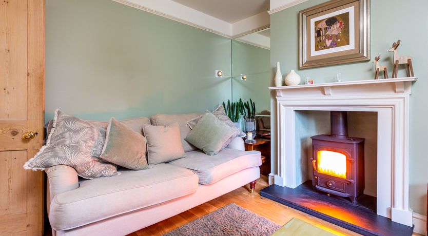 Photo of Into the Forest