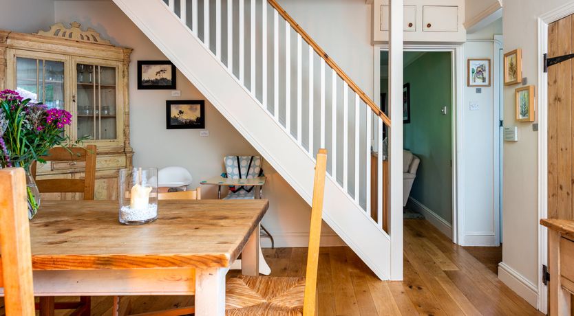 Photo of Into the Forest