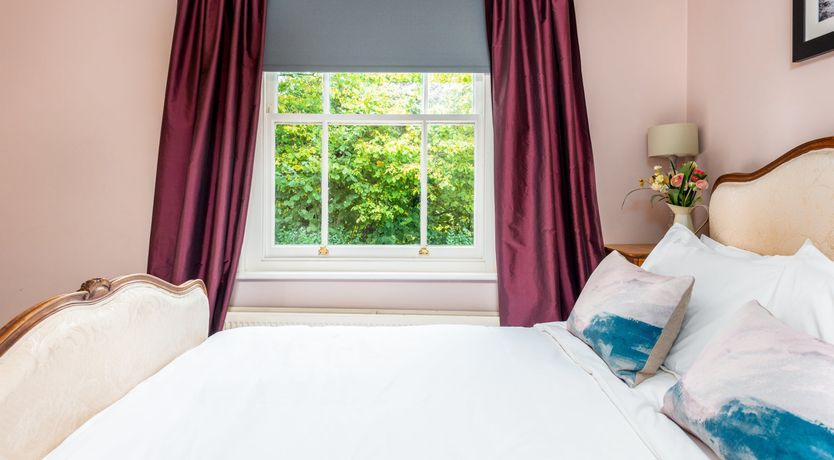 Photo of Into the Forest