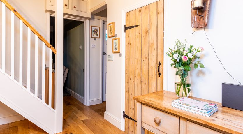 Photo of Into the Forest