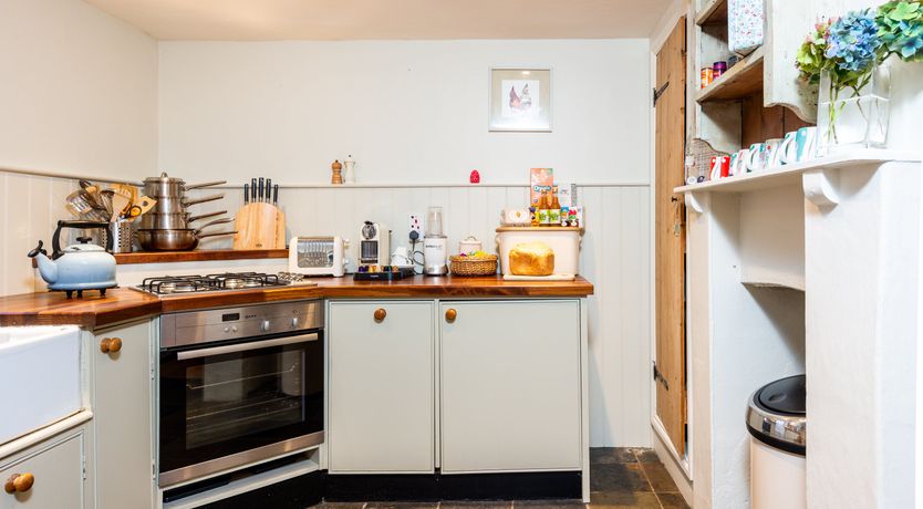 Photo of Into the Forest