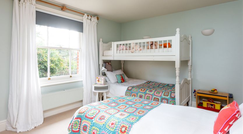 Photo of Into the Forest