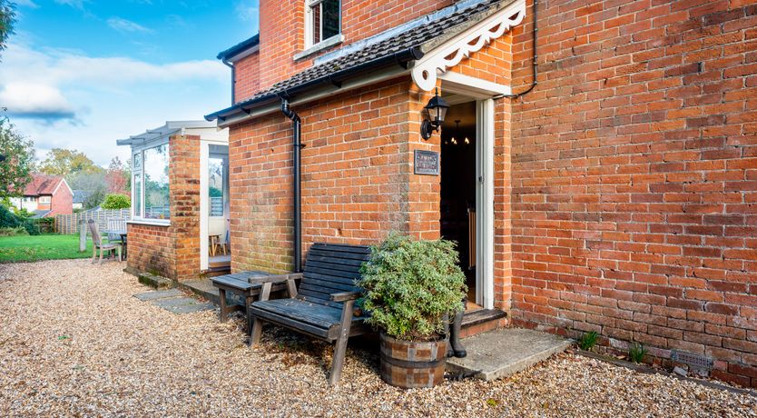 Photo of Into the Forest