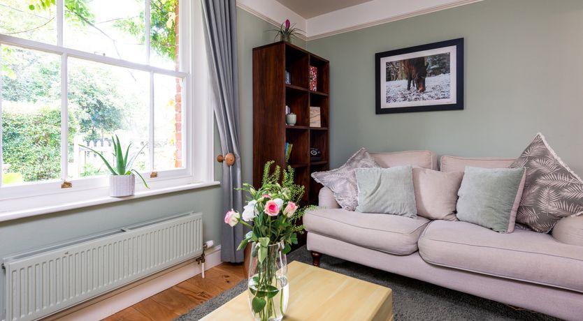 Photo of Into the Forest