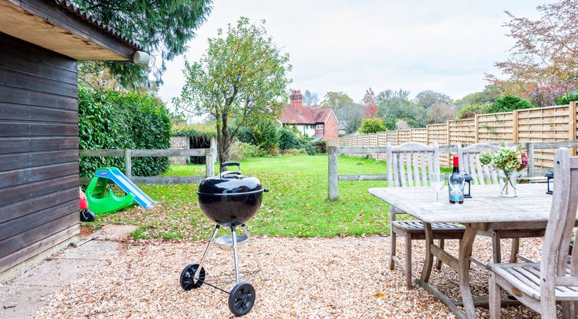 Photo of Into the Forest