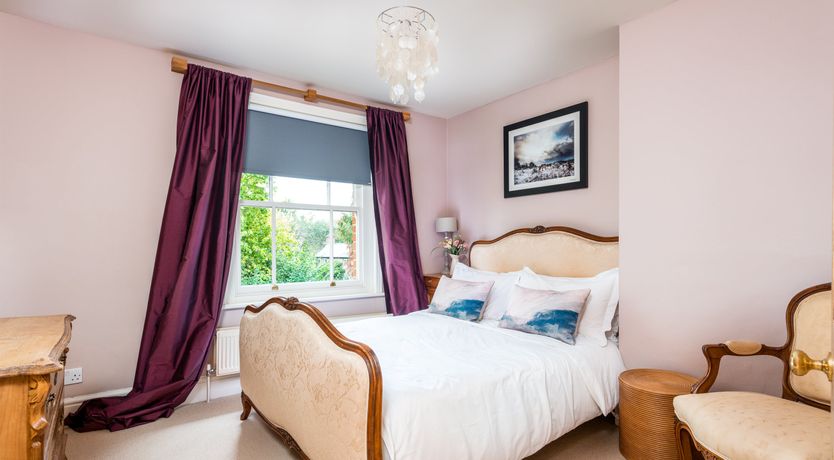 Photo of Into the Forest