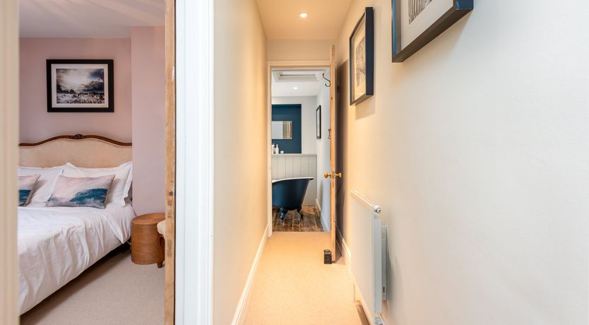 Photo of Into the Forest