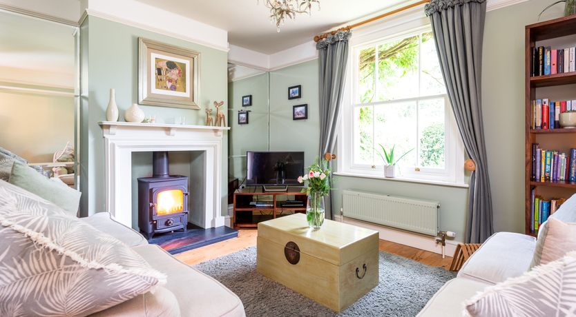 Photo of Into the Forest