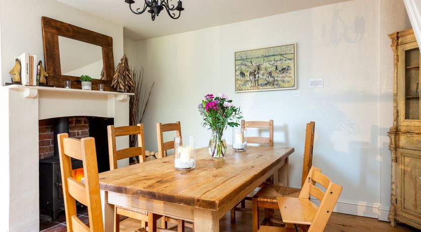 Photo of Into the Forest